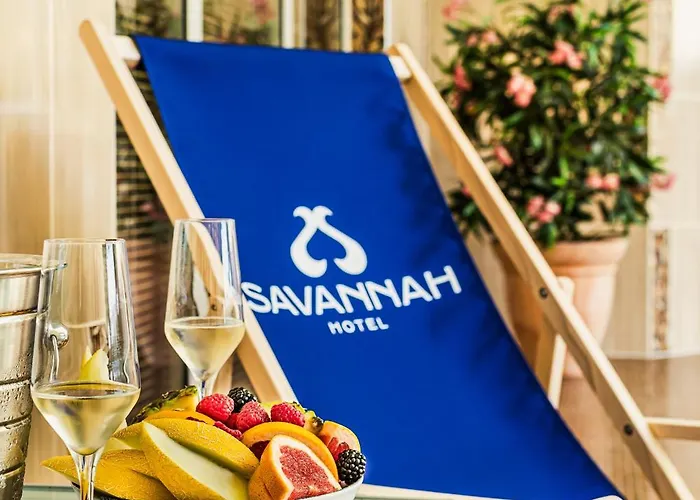 ホテル Savannah フヴァロヴィツェ
