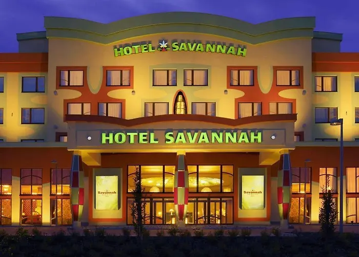ホテル Savannah 4*